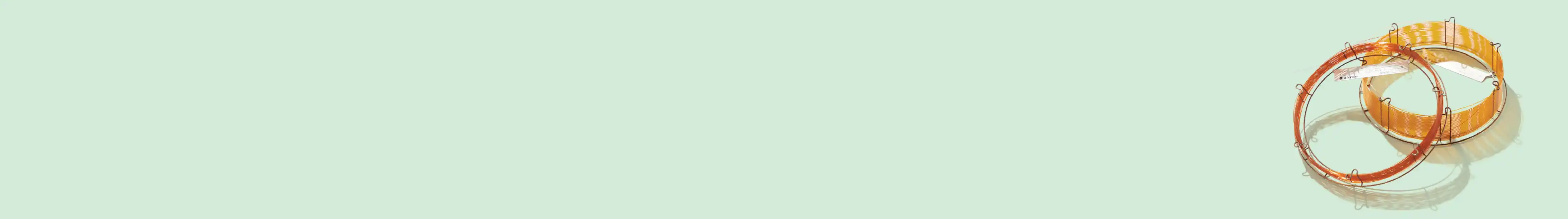 الأعمدة الشعرية للكروماتوغرافيا الغازية (GC) والكروماتوغرافيا الغازية المقترنة بمطياف الكتلة (GC/MS) من GL Sciences